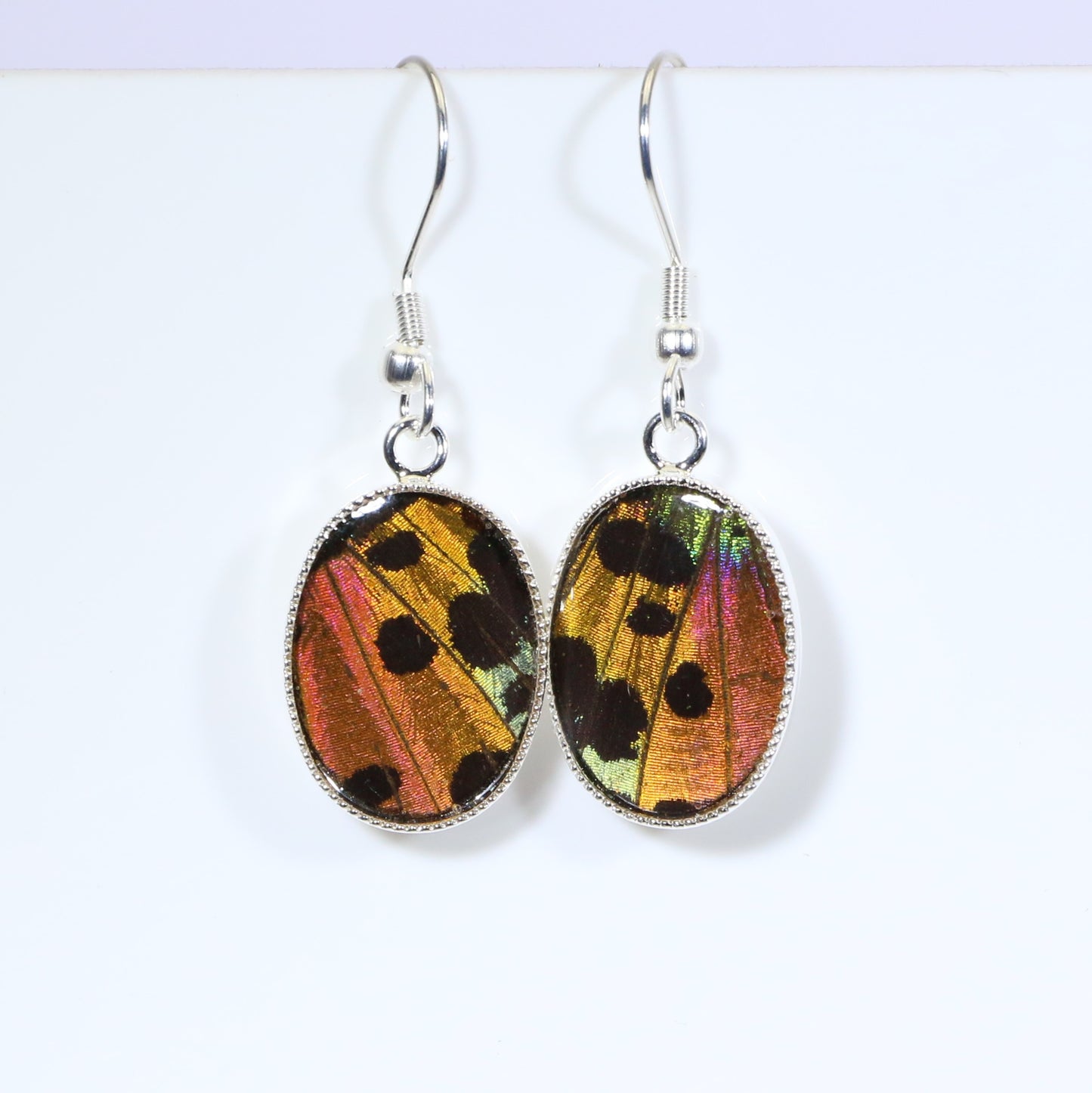 51002 - Real Butterfly Wing Jewelry - Earring Collection - Sunset Moth - Orange