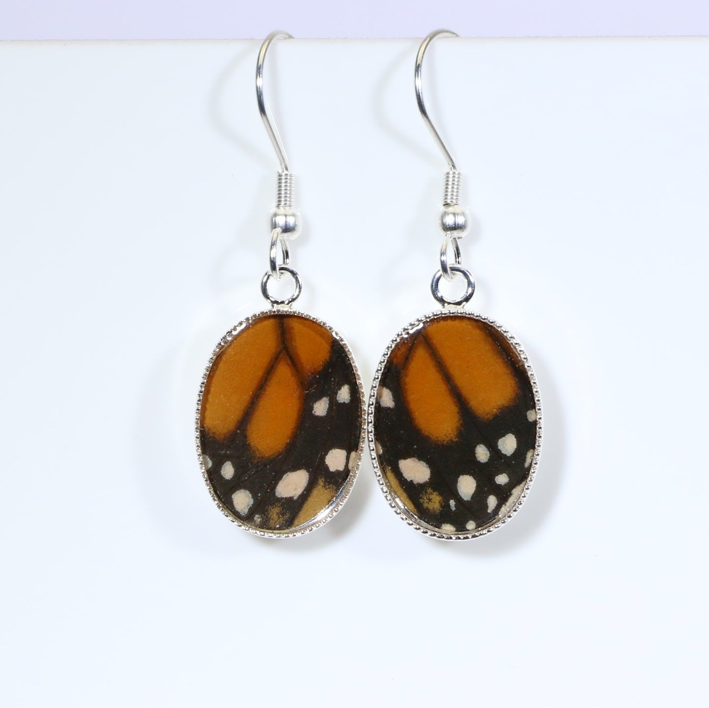 51004 - Real Butterfly Wing Jewelry - Earring Collection - Monarch Butterfly