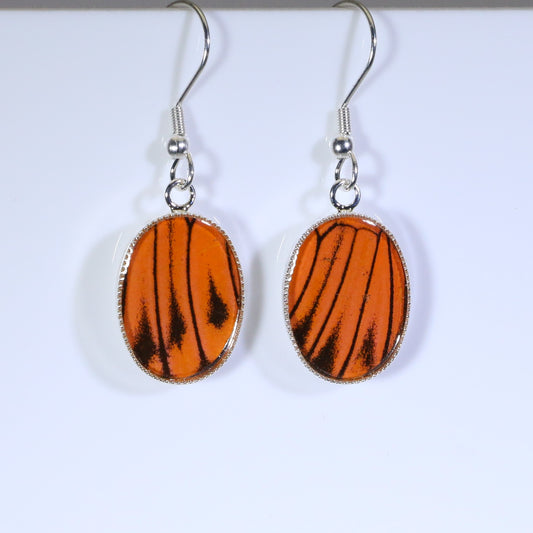 51105 - Real Butterfly Wing Jewelry - Earrings - Small - Hebomia - Orange