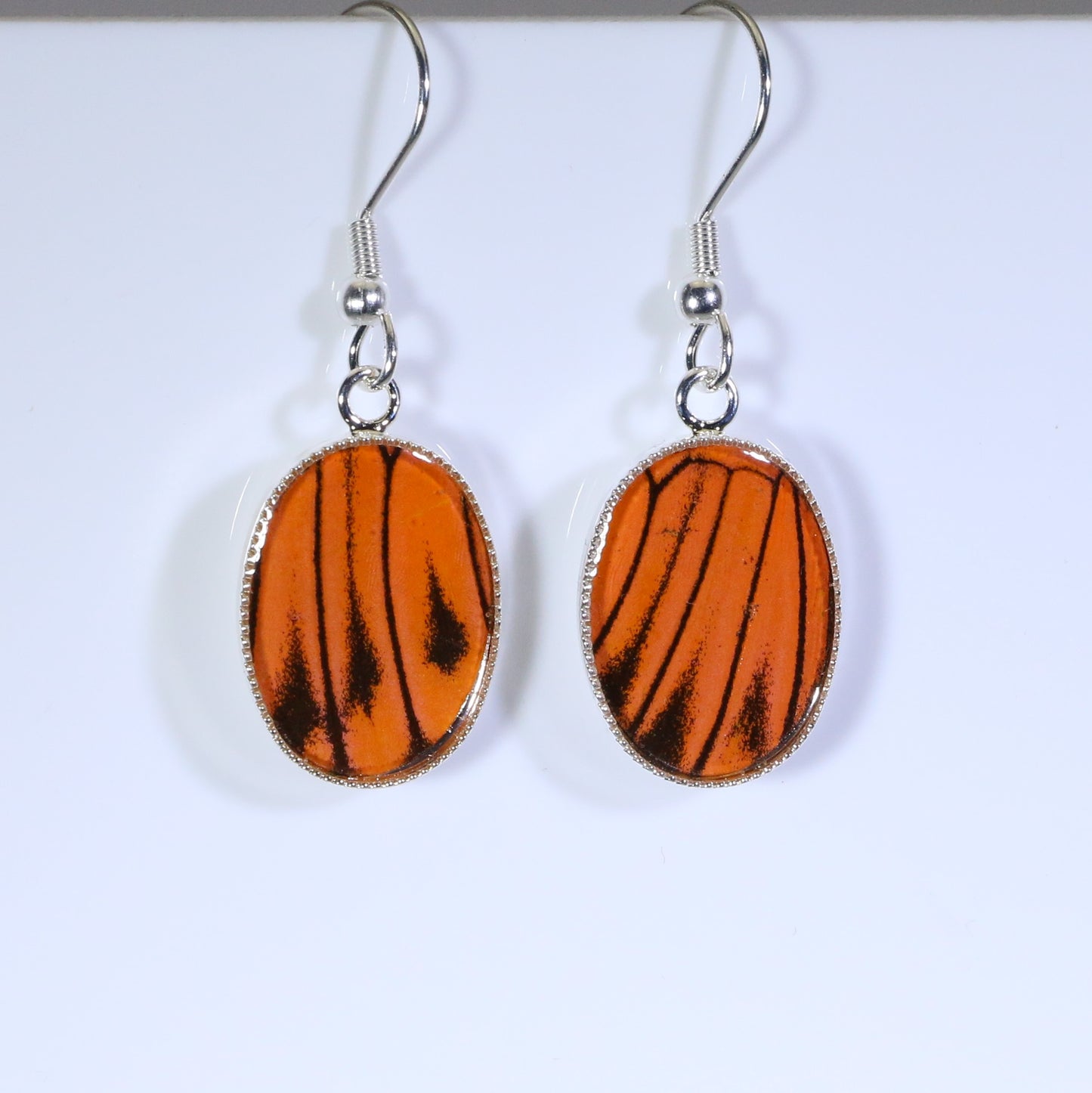 51005 - Real Butterfly Wing Jewelry - Earring Collection - Vibrant Sulphur - Orange