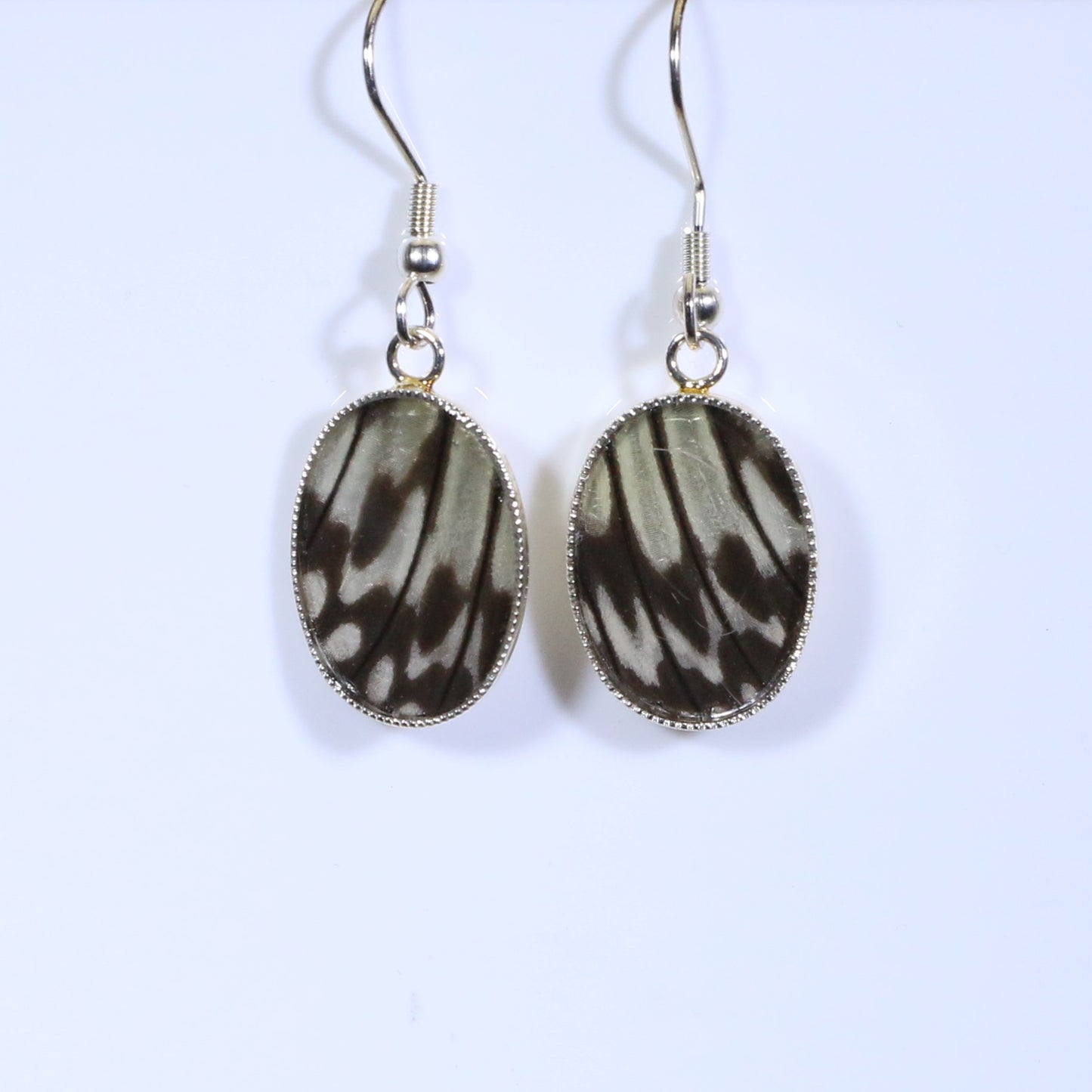 51009 - Real Butterfly Wing Jewelry - Earring Collection - Paper Kite Butterfly