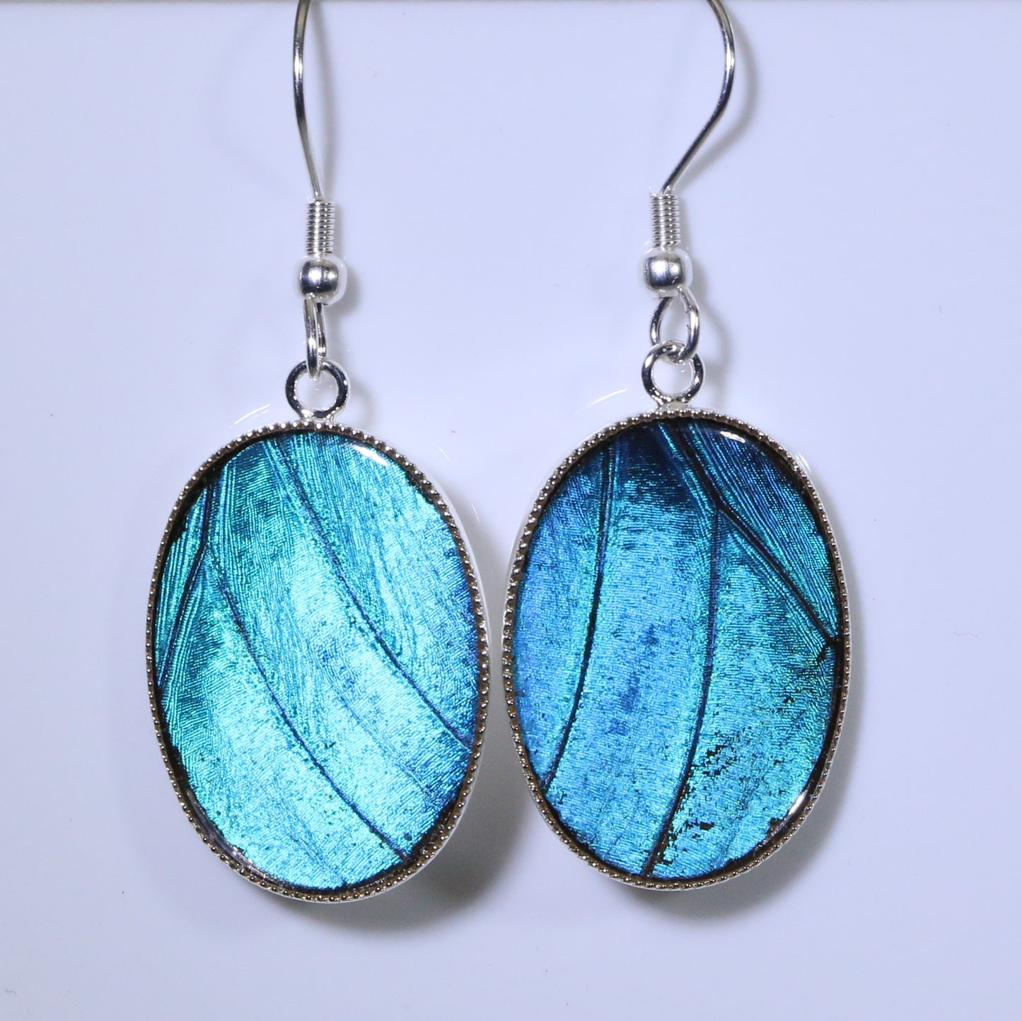 51001 - Real Butterfly Wing Jewelry - Earring Collection - Blue Morpho