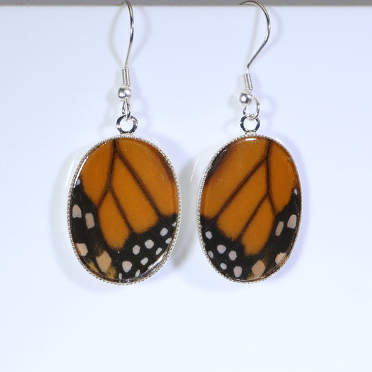51204 - Real Butterfly Wing Jewelry - Earrings - Medium - Monarch