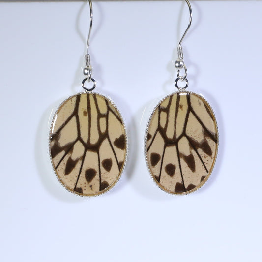 51209 - Real Butterfly Wing Jewelry - Earrings - Medium - Paper Kite