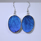 51001 - Real Butterfly Wing Jewelry - Earring Collection - Blue Morpho