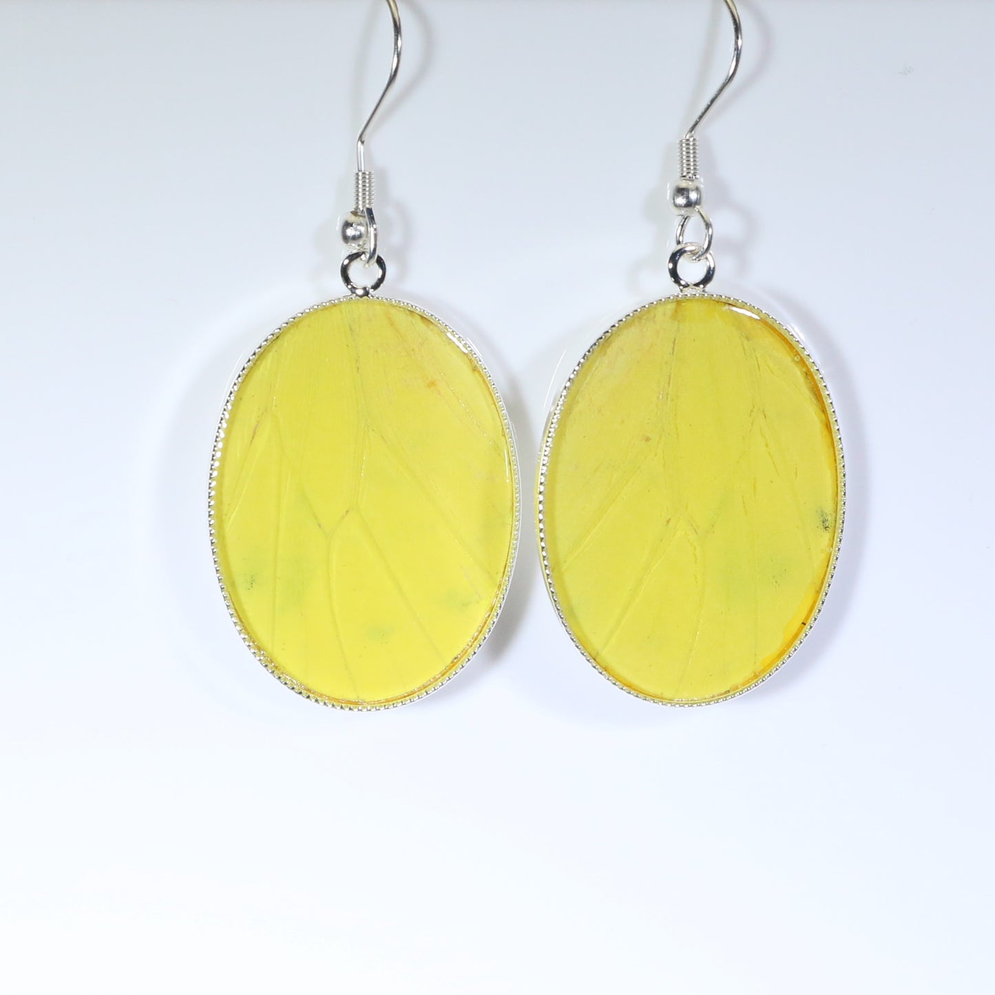 51006 - Real Butterfly Wing Jewelry - Earring Collection - Vibrant Sulphur - Yellow