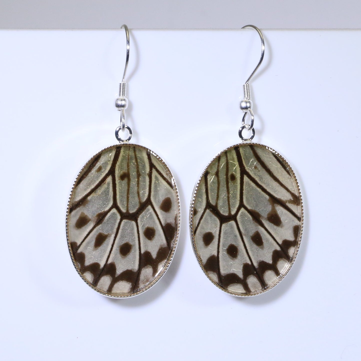 51009 - Real Butterfly Wing Jewelry - Earring Collection - Paper Kite Butterfly