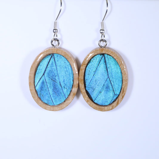 51601 - Real Butterfly Wing Jewelry - Earrings - Medium - Tan Wood - Oval - Plain -  Blue Morpho