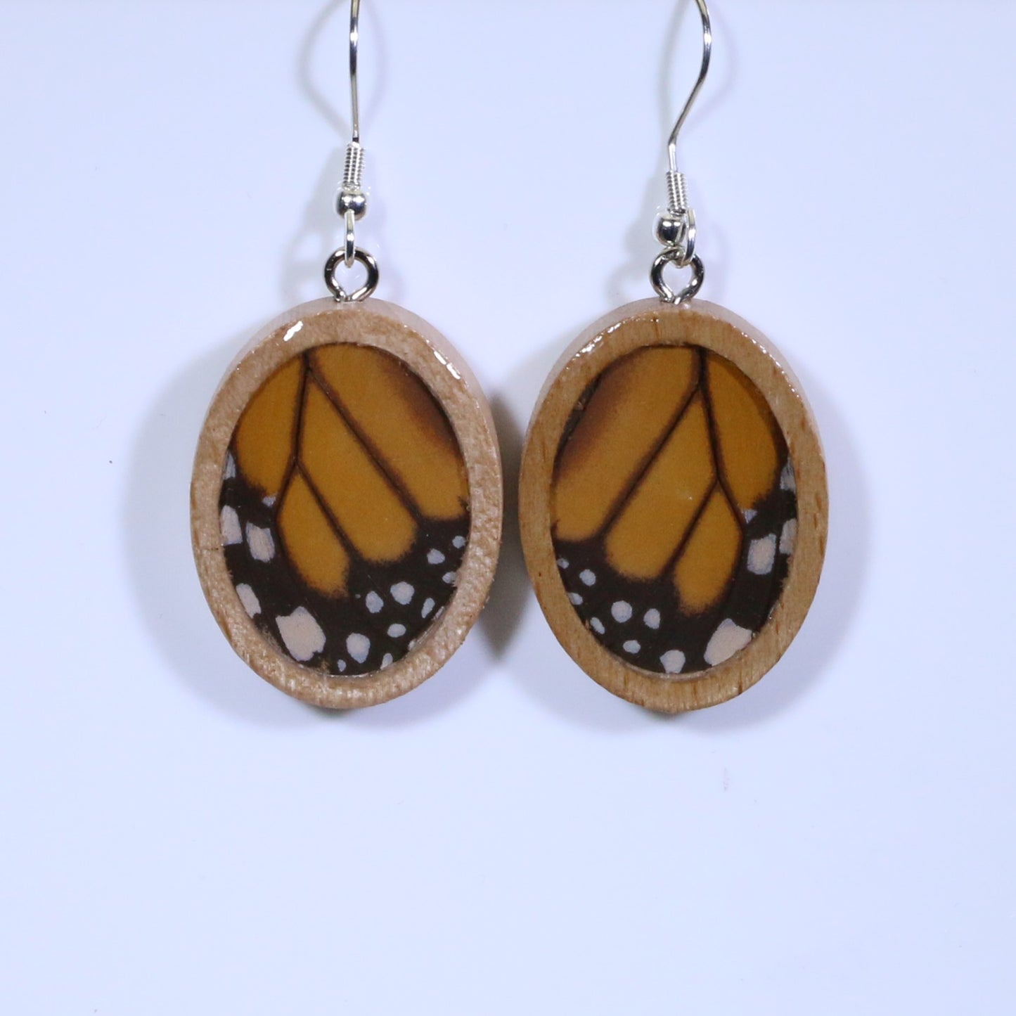 51004 - Real Butterfly Wing Jewelry - Earring Collection - Monarch Butterfly