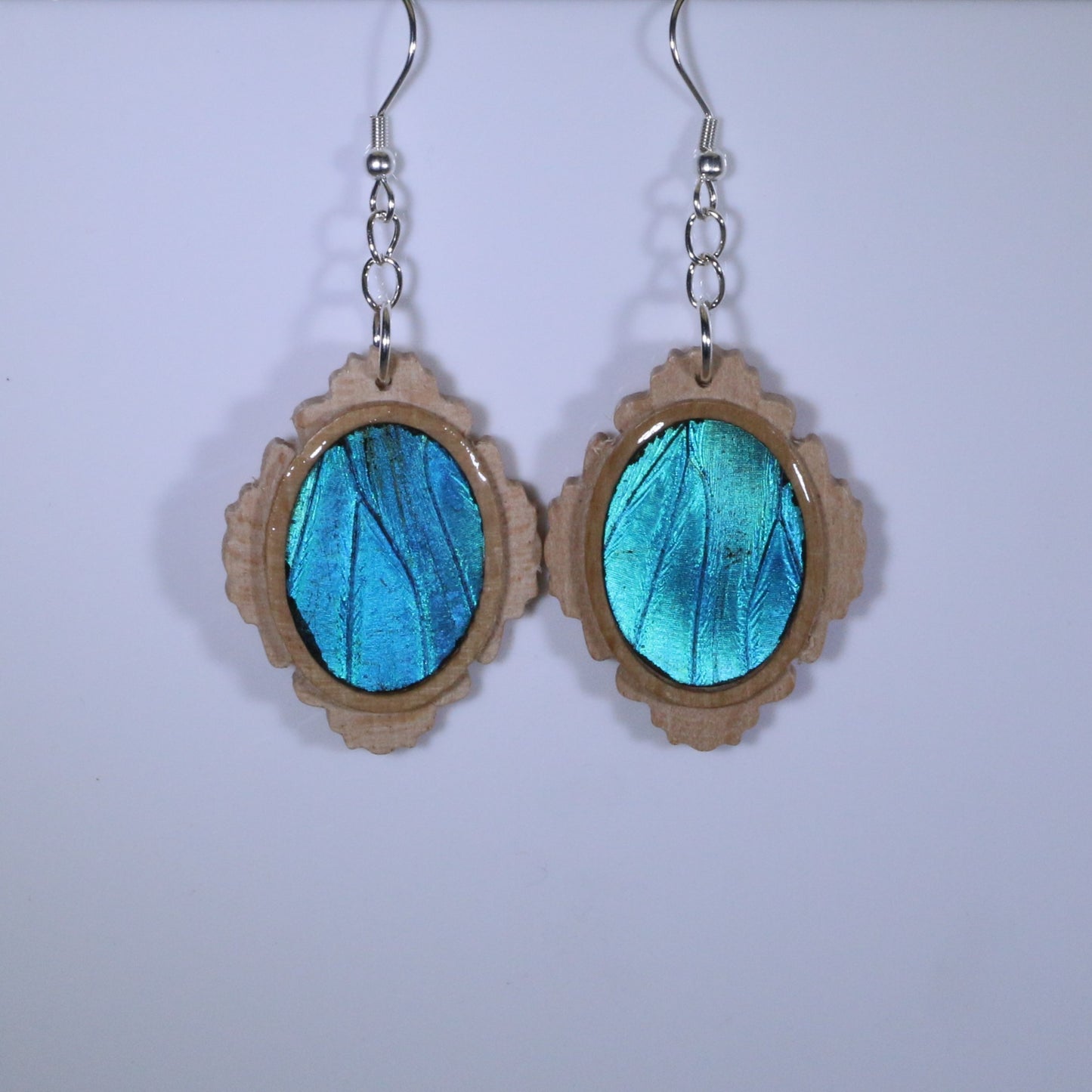 51651 - Real Butterfly Wing Jewelry - Earrings - Medium - Tan Wood - Oval - Filigree - Blue Morpho