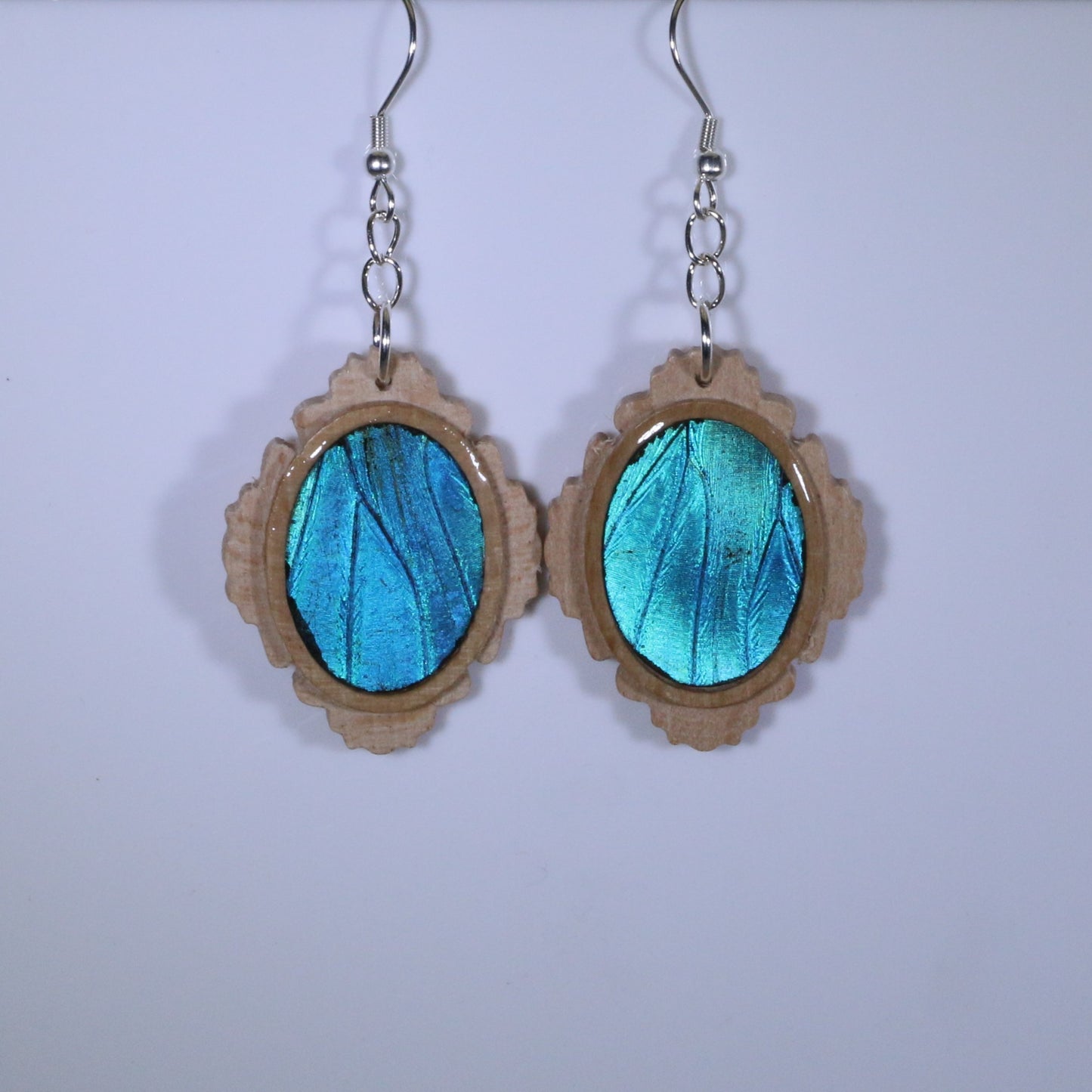 51001 - Real Butterfly Wing Jewelry - Earring Collection - Blue Morpho