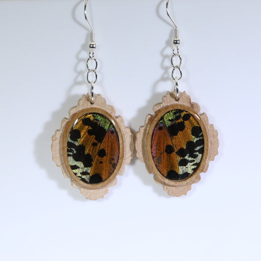51652 - Real Butterfly Wing Jewelry - Earrings - Medium - Tan Wood - Oval - Filigree - Sunset Moth - Orange