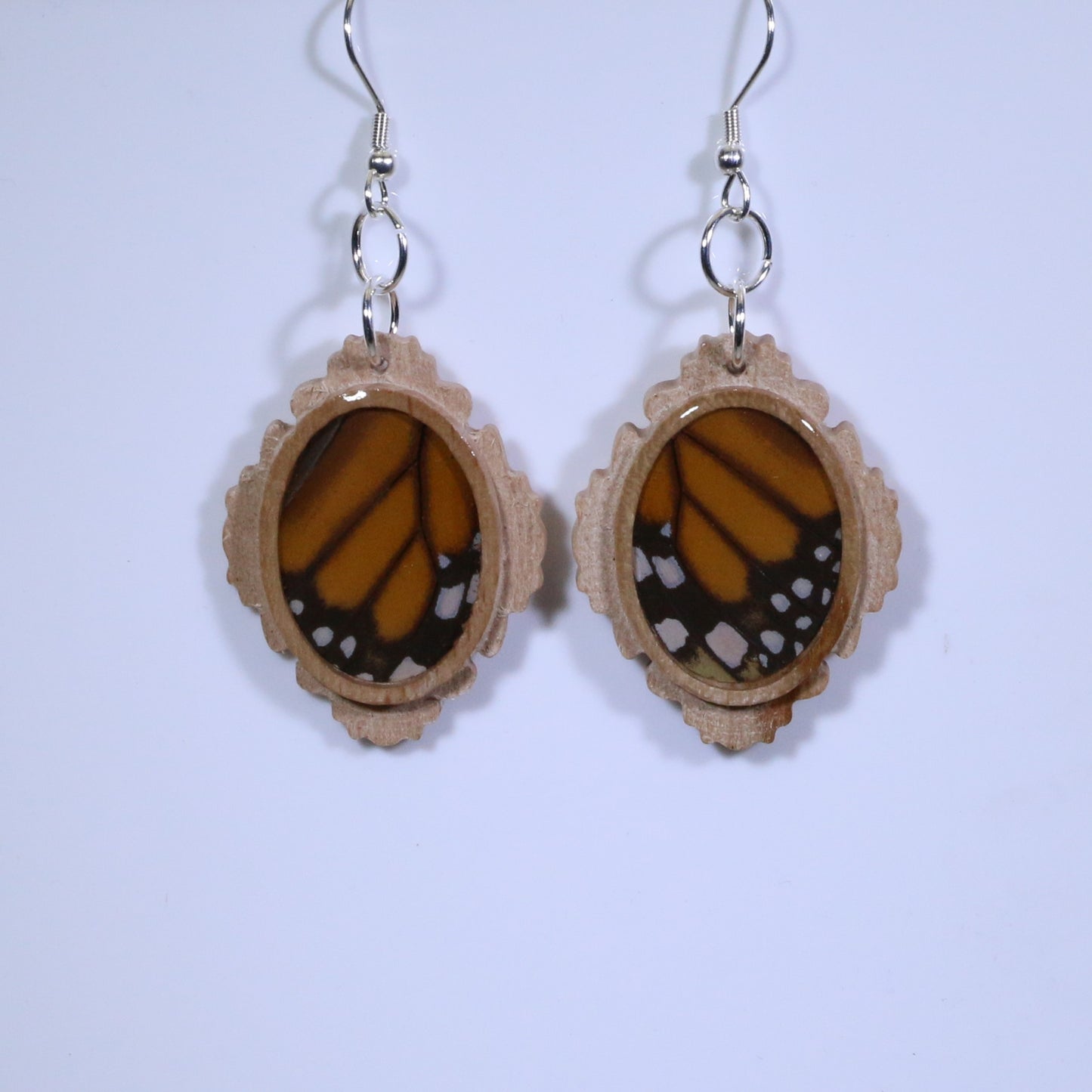 51004 - Real Butterfly Wing Jewelry - Earring Collection - Monarch Butterfly