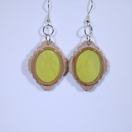 51656 - Real Butterfly Wing Jewelry - Earrings - Medium - Tan Wood - Oval - Filigree - Hebomia - Yellow