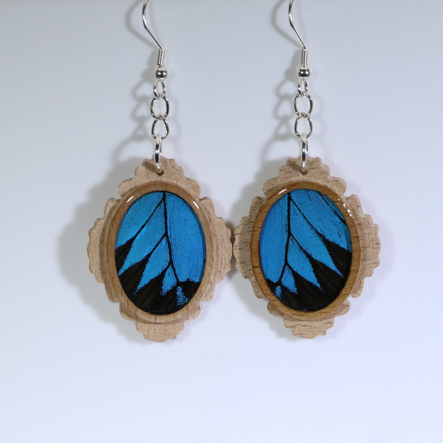 51007 - Real Butterfly Wing Jewelry - Earring Collection - Blue Mountain Swallowtail