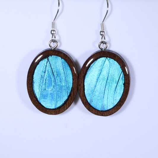 51701 - Real Butterfly Wing Jewelry - Earrings - Medium - Dark Wood - Oval - Plain - Blue Morpho