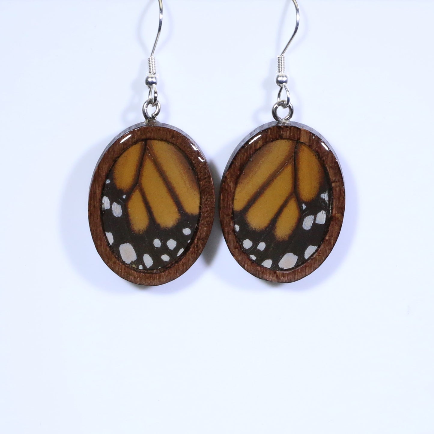 51004 - Real Butterfly Wing Jewelry - Earring Collection - Monarch Butterfly