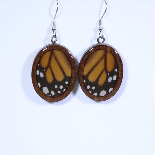 51704 - Real Butterfly Wing Jewelry - Earrings - Medium - Dark Wood - Oval - Plain - Monarch