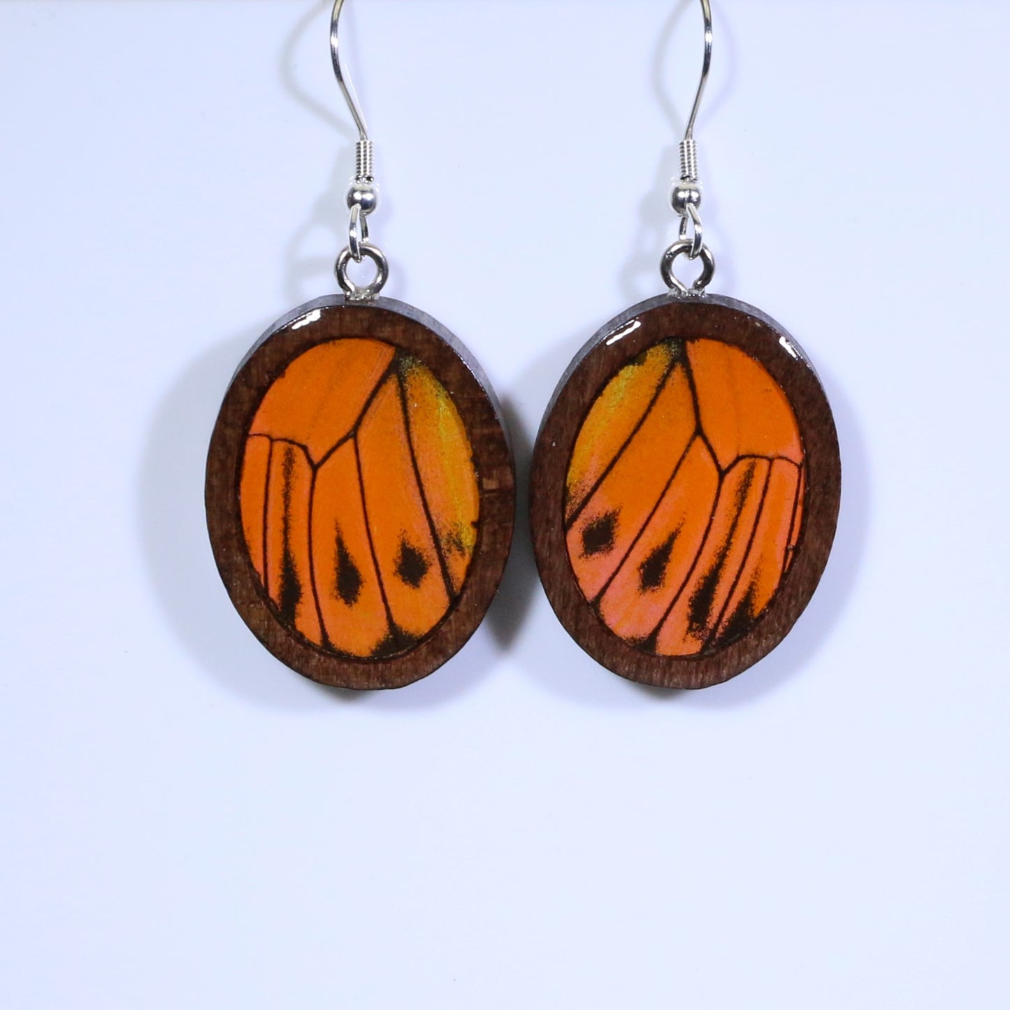 51005 - Real Butterfly Wing Jewelry - Earring Collection - Vibrant Sulphur - Orange