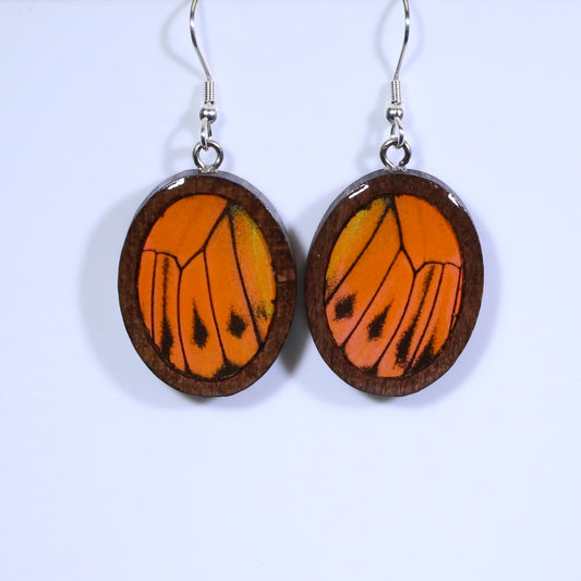 51705 - Real Butterfly Wing Jewelry - Earrings - Medium - Dark Wood - Oval - Plain -  Hebomia - Orange