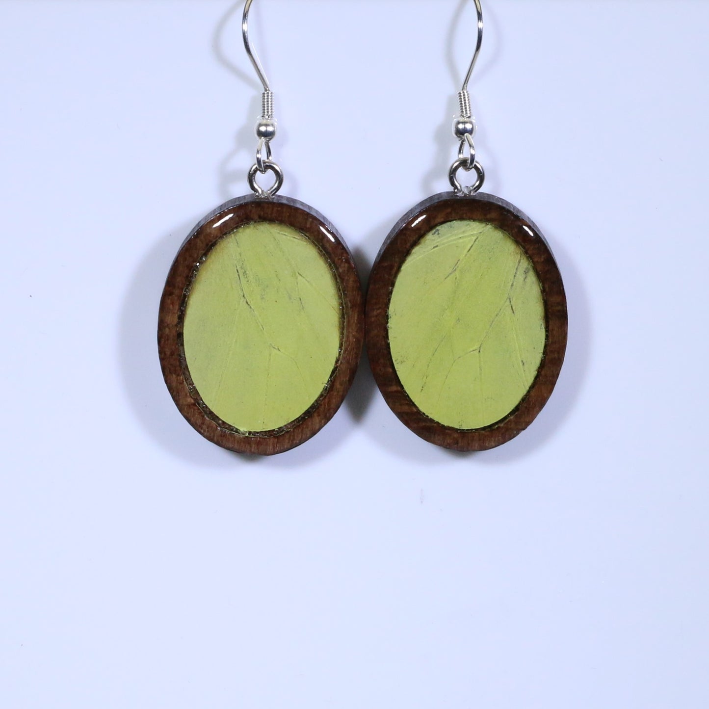 51706 - Real Butterfly Wing Jewelry - Earrings - Medium - Dark Wood - Oval - Plain - Hebomia - Yellow