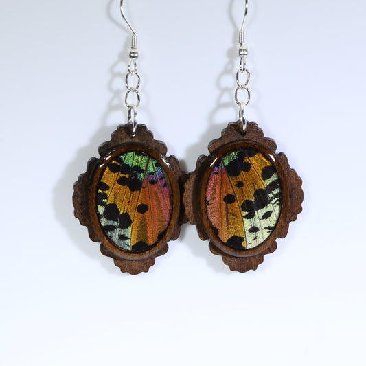 51752 - Real Butterfly Wing Jewelry - Earrings - Medium - Dark Wood - Oval - Filigree - Sunset Moth - Orange