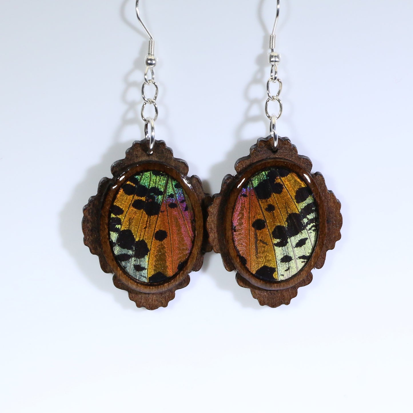 51002 - Real Butterfly Wing Jewelry - Earring Collection - Sunset Moth - Orange