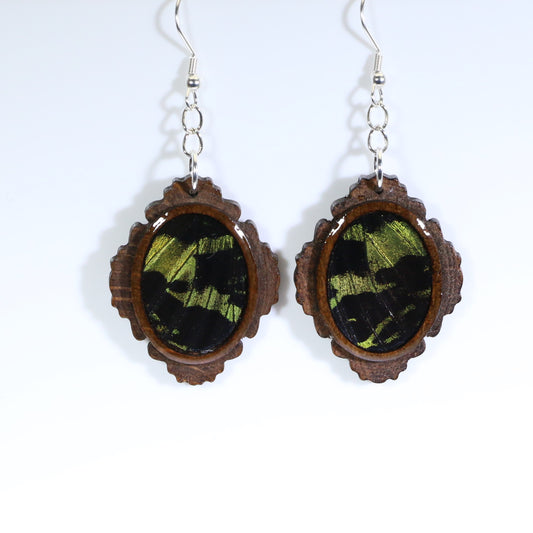 51753 - Real Butterfly Wing Jewelry - Earrings - Medium - Dark Wood - Oval - Filigree - Sunset Moth - Green