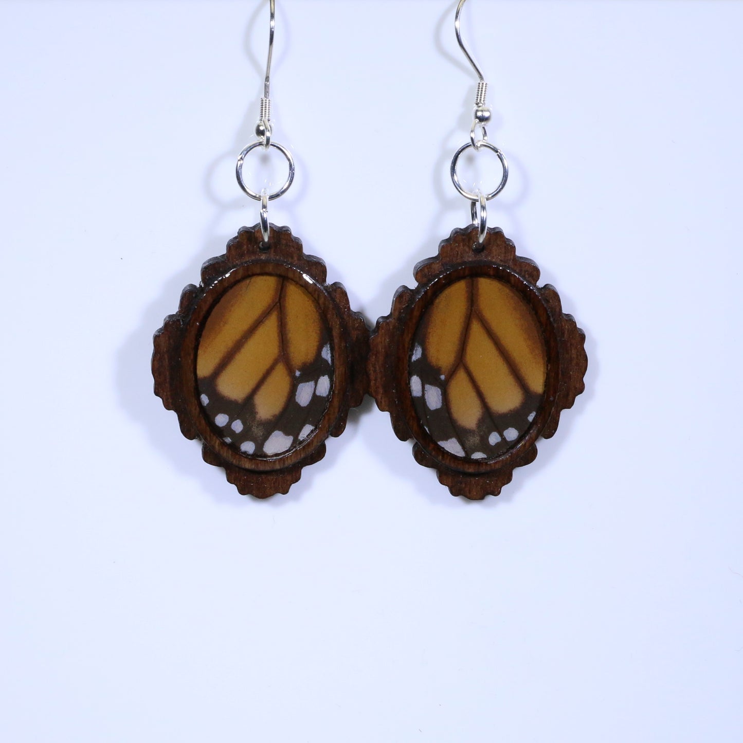 51004 - Real Butterfly Wing Jewelry - Earring Collection - Monarch Butterfly