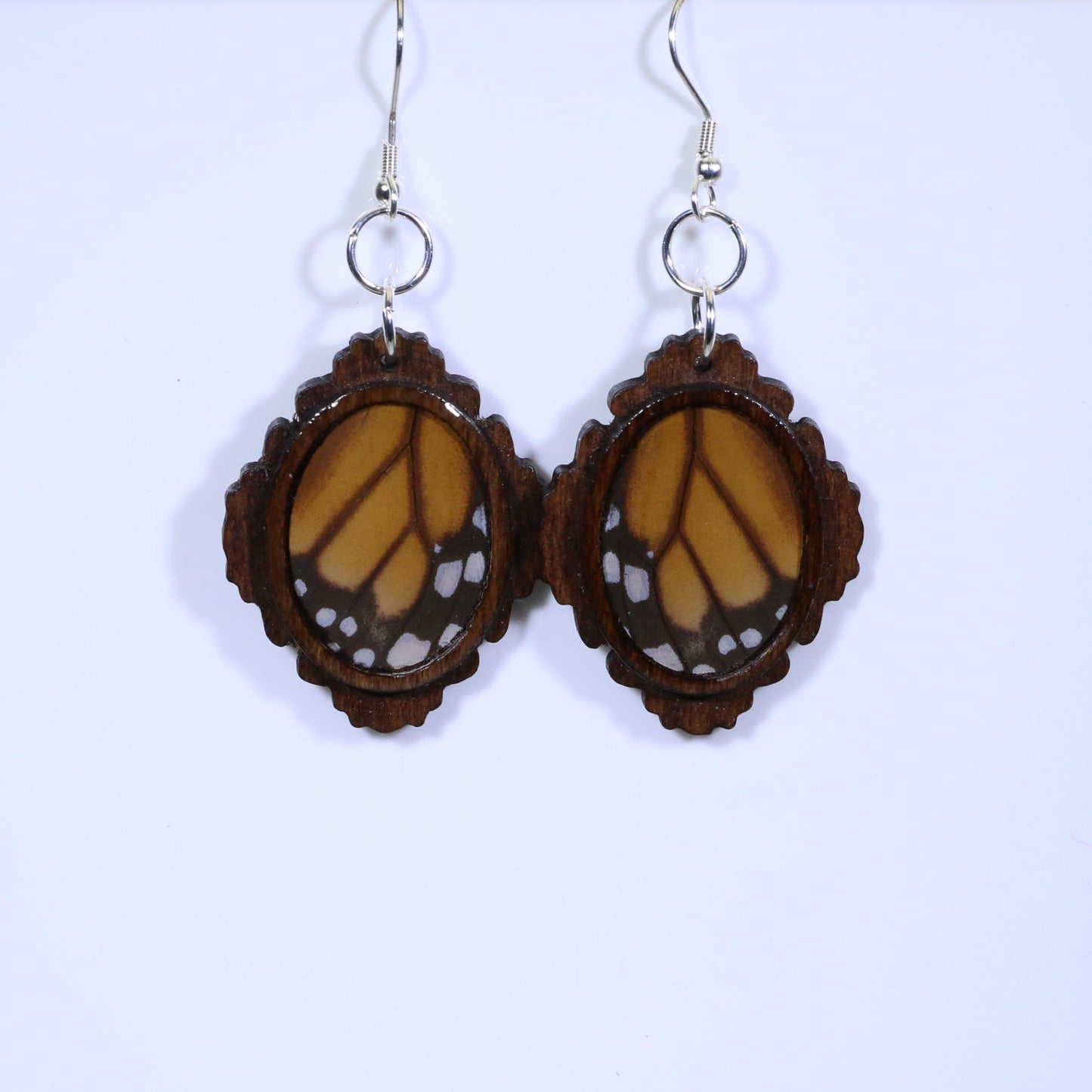 51004 - Real Butterfly Wing Jewelry - Earring Collection - Monarch Butterfly