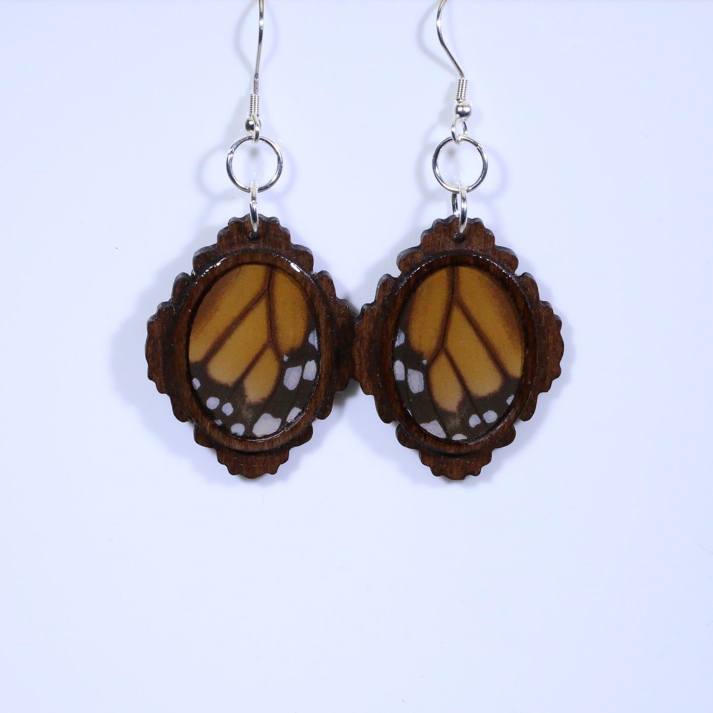 51754 - Real Butterfly Wing Jewelry - Earrings - Medium - Dark Wood - Oval - Filigree - Monarch