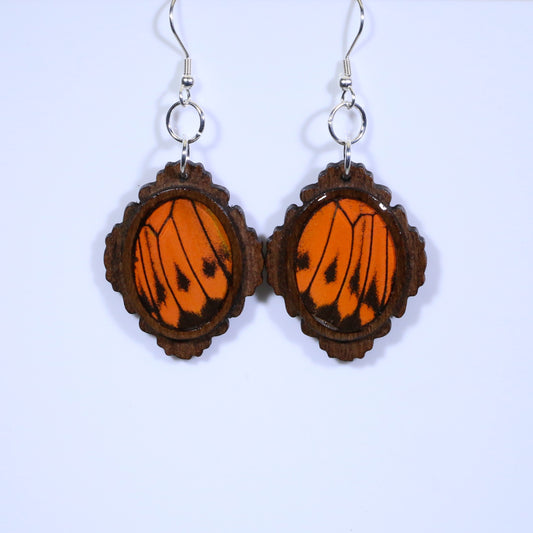 51755 - Real Butterfly Wing Jewelry - Earrings - Medium - Dark Wood - Oval - Filigree - Hebomia - Orange