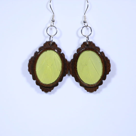 51756 - Real Butterfly Wing Jewelry - Earrings - Medium - Dark Wood - Oval - Filigree - Hebomia - Yellow