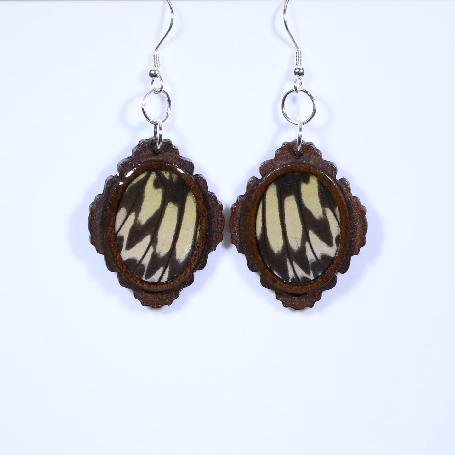 51009 - Real Butterfly Wing Jewelry - Earring Collection - Paper Kite Butterfly