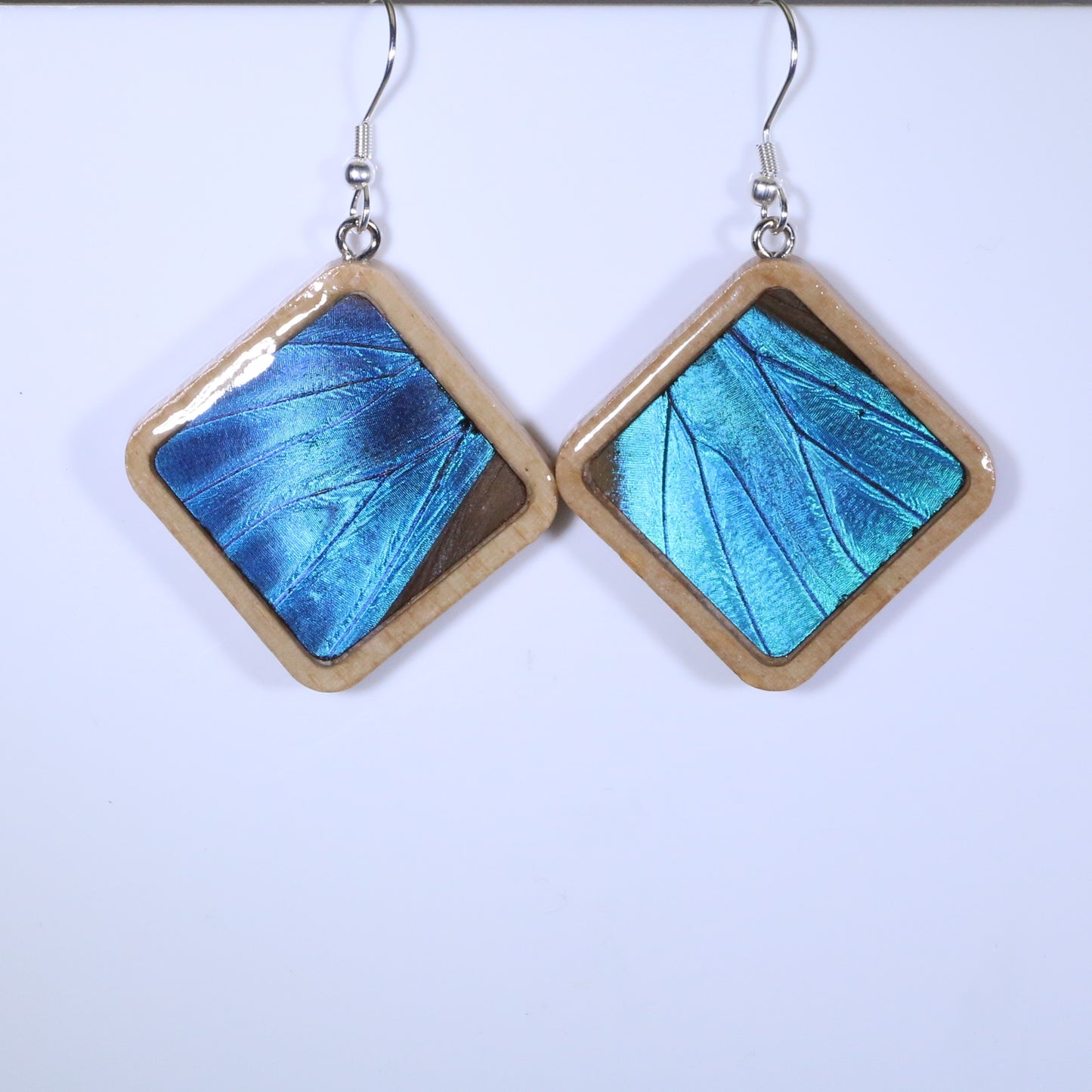 51001 - Real Butterfly Wing Jewelry - Earring Collection - Blue Morpho