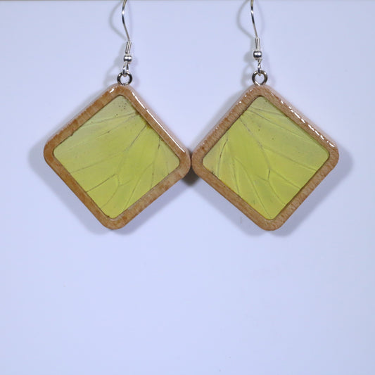 51806 - Real Butterfly Wing Jewelry - Earrings - Large - Tan Wood - Diamond Shape - Hebomia - Yellow
