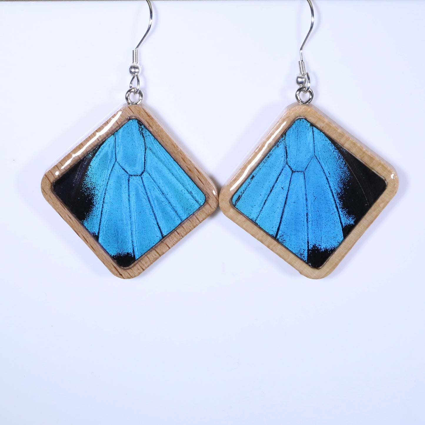 51007 - Real Butterfly Wing Jewelry - Earring Collection - Blue Mountain Swallowtail