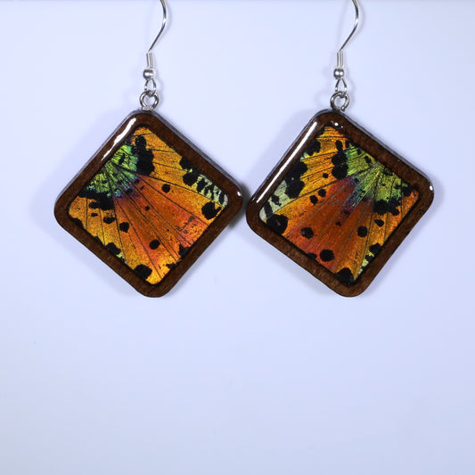 51852 - Real Butterfly Wing Jewelry - Earrings - Large - Dark Wood - Diamond Shape - Sunset Moth - Orange