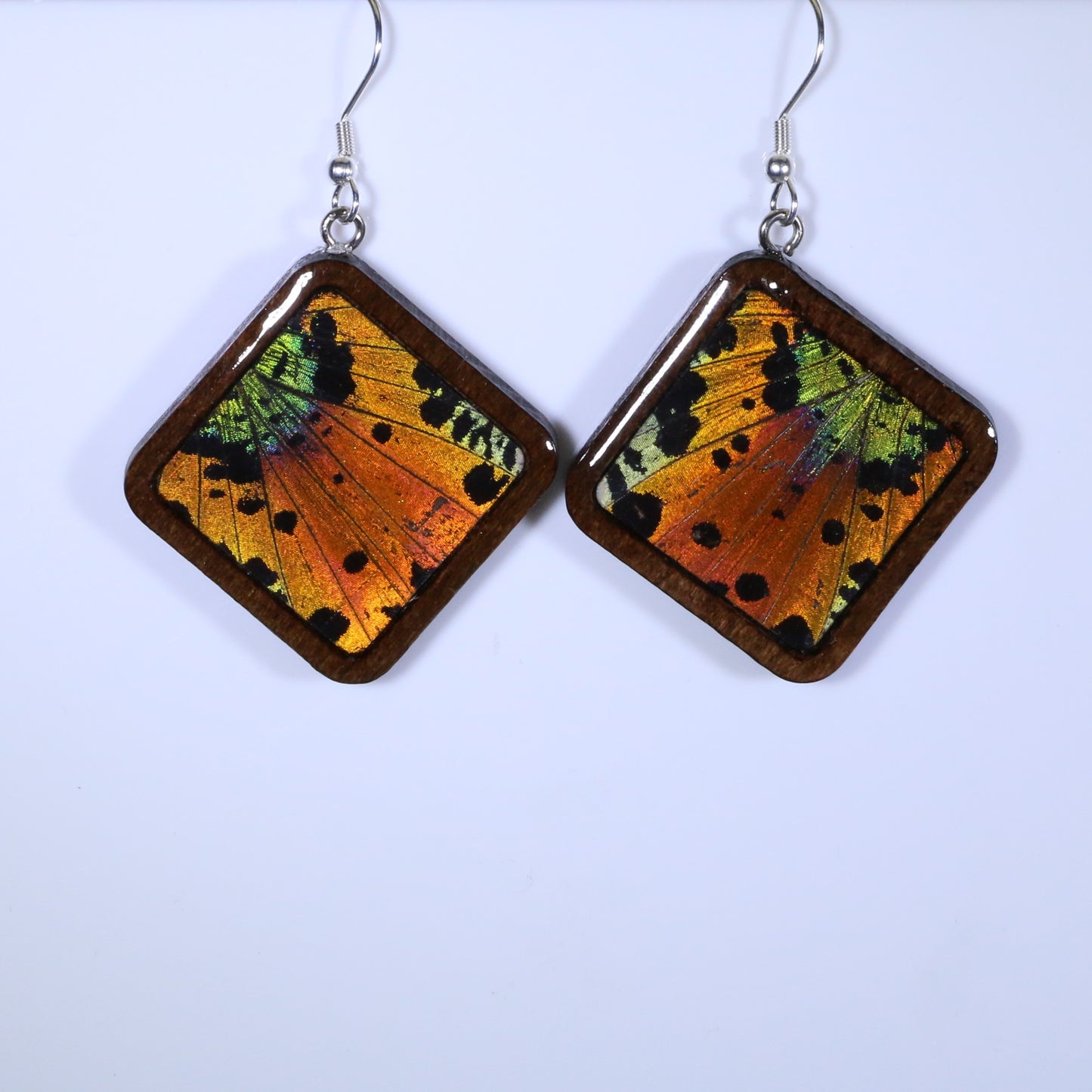 51002 - Real Butterfly Wing Jewelry - Earring Collection - Sunset Moth - Orange