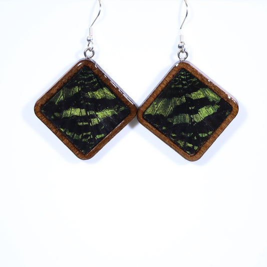 51853 - Real Butterfly Wing Jewelry - Earrings - Large - Dark Wood - Diamond Shape - Sunset Moth - Green