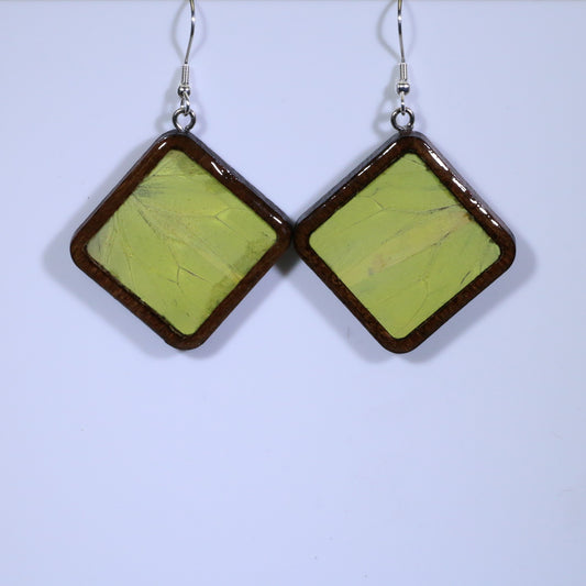 51856 - Real Butterfly Wing Jewelry - Earrings - Large - Dark Wood - Diamond Shape - Hebomia - Yellow