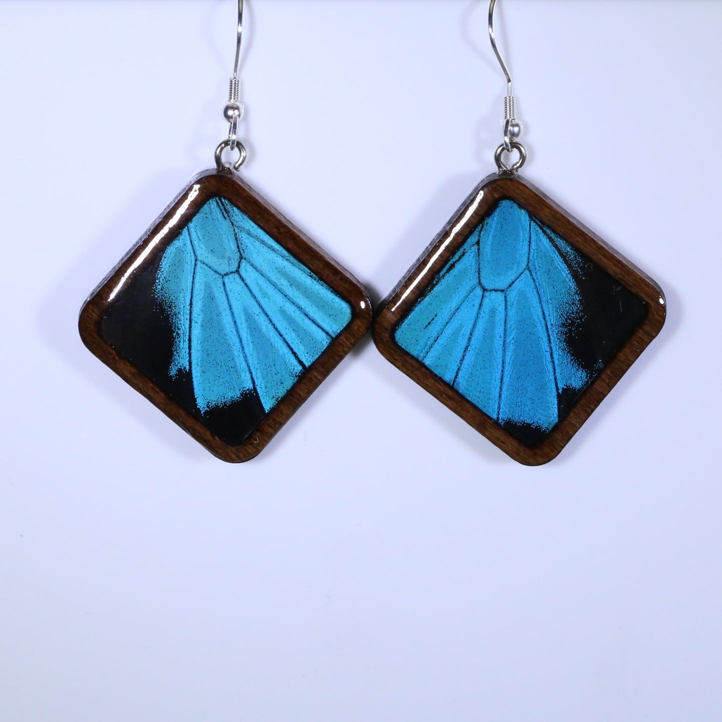 51007 - Real Butterfly Wing Jewelry - Earring Collection - Blue Mountain Swallowtail