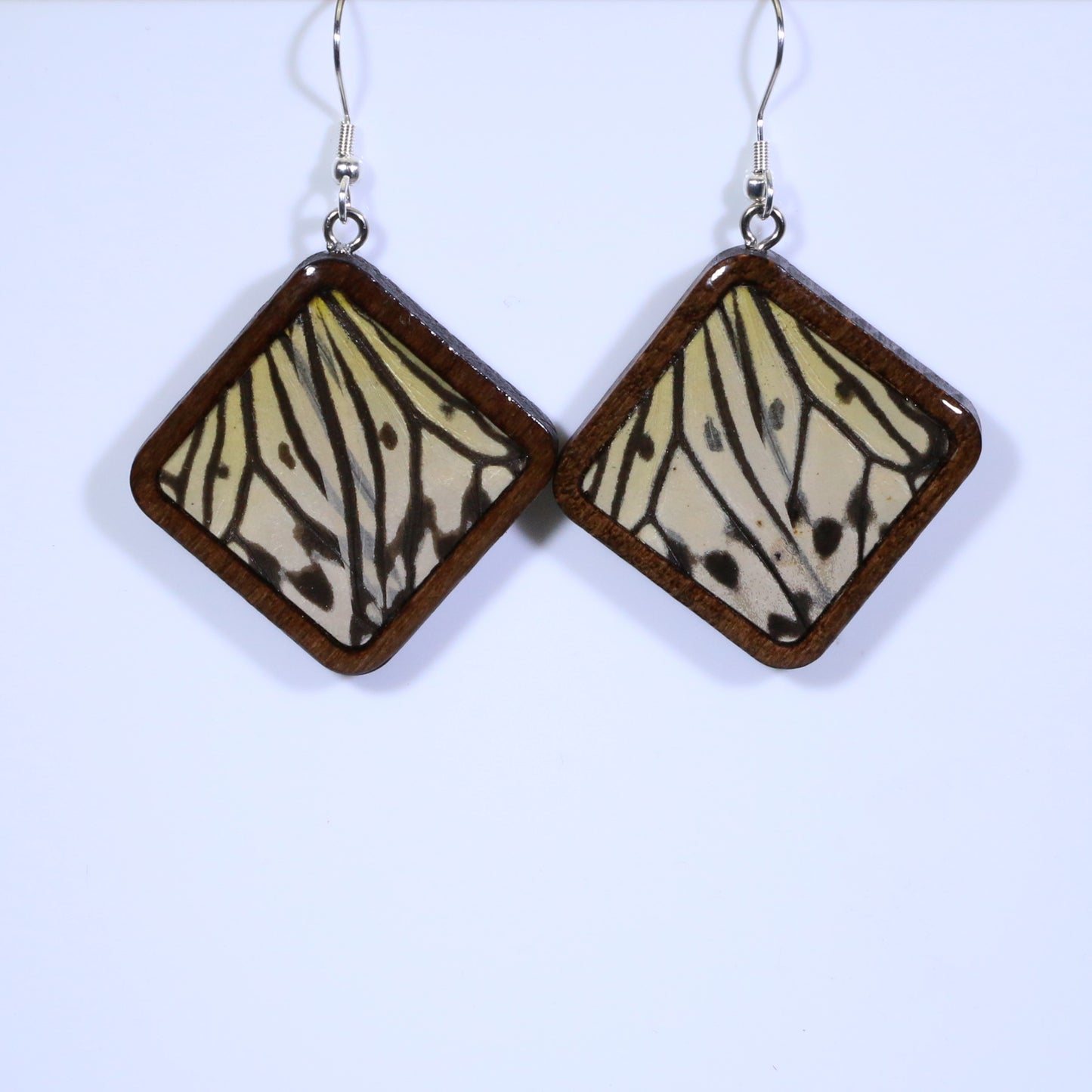 51009 - Real Butterfly Wing Jewelry - Earring Collection - Paper Kite Butterfly