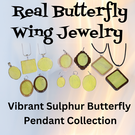 52006 - Real Butterfly Wing Jewelry - Pendant Collection - Vibrant Sulphur Butterfly - Yellow