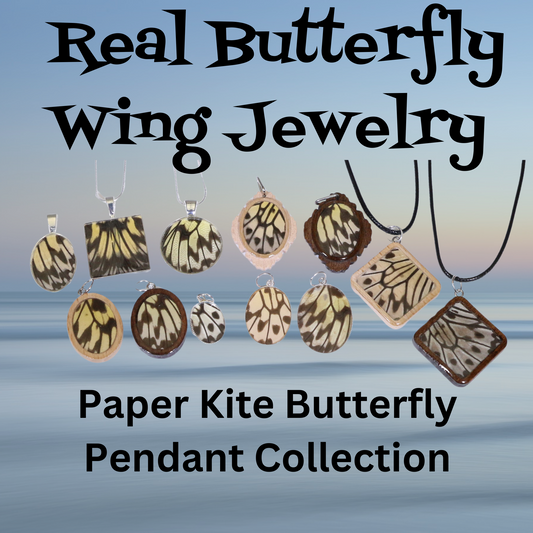 52009 - Real Butterfly Wing Jewelry - Pendant Collection - Paper Kite Butterfly