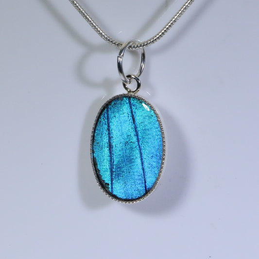 52101 - Real Butterfly Wing Jewelry - Pendant - Small - Blue Morpho