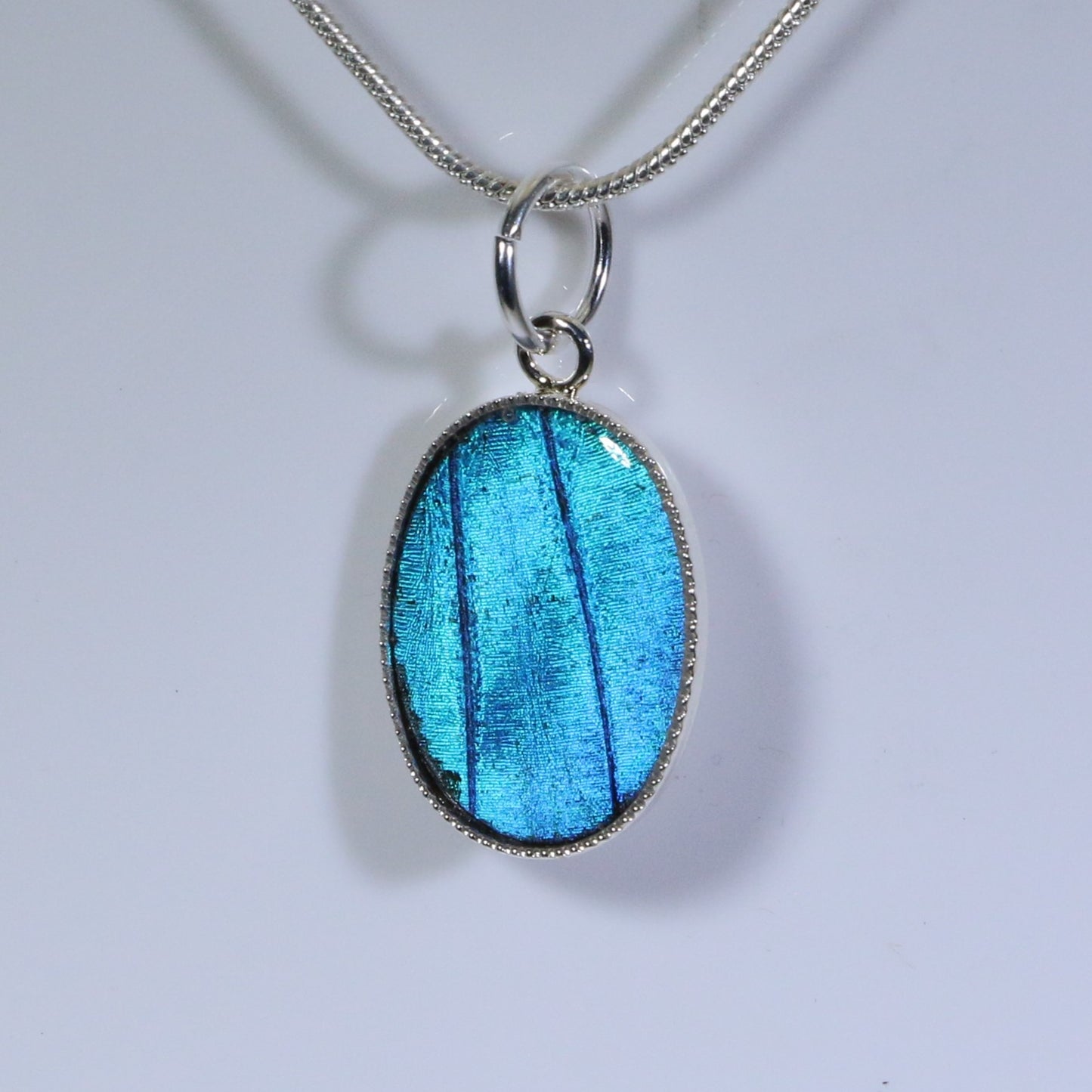 52001 - Real Butterfly Wing Jewelry - Pendant Collection - Blue Morpho