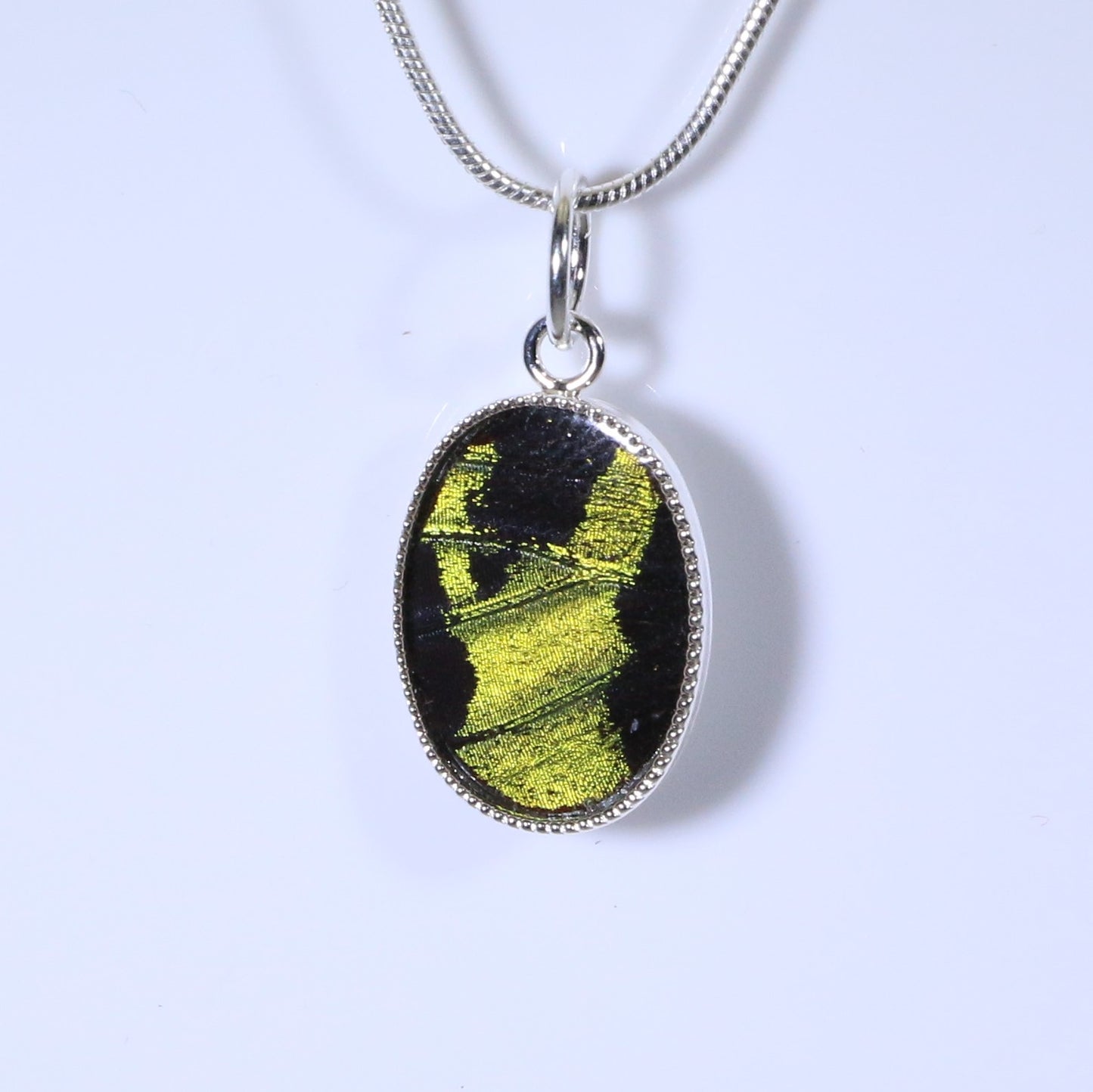 52003 - Real Butterfly Wing Jewelry - Pendant Collection - Sunset Moth - Green