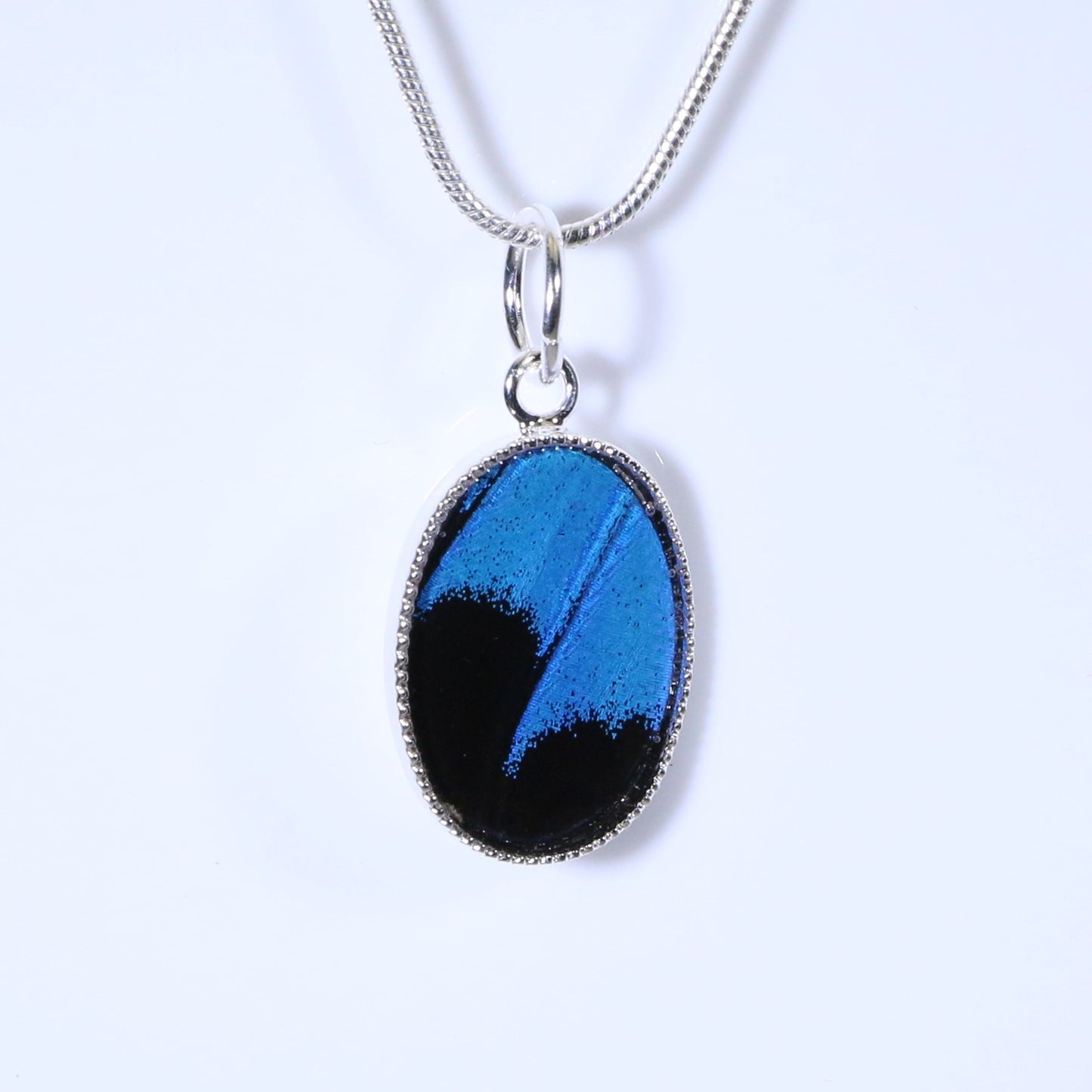 52007 - Real Butterfly Wing Jewelry - Pendant Collection - Blue Mountain Swallowtail