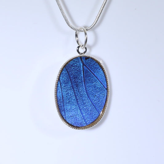 52201 - Real Butterfly Wing Jewelry - Pendant - Medium - Blue Morpho